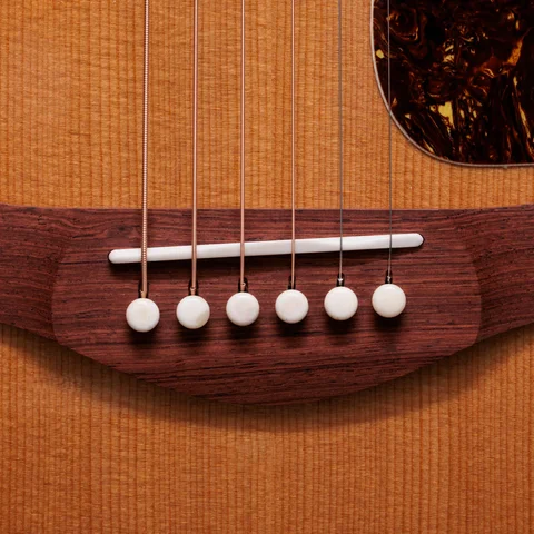 2024年の新アコースティックギター | Taylor Guitars